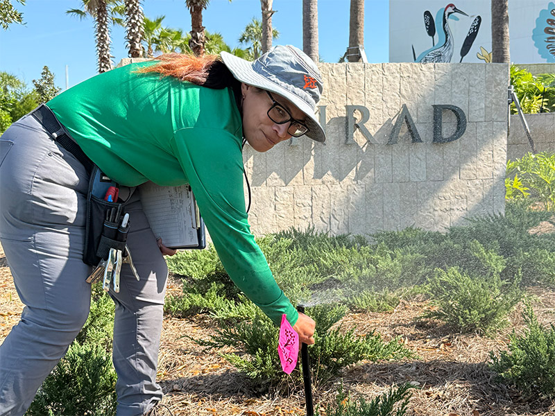 Maria Perez at work