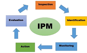 Integrated Pest Management graphic