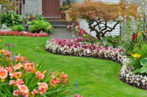 Special Assessments for Landscape Improvements - The Bad photo