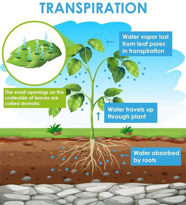 What to do in Times of Drought photo