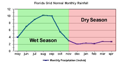 Florida Seasonal Rainfall photo