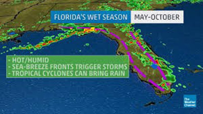 Florida's Wet Season photo