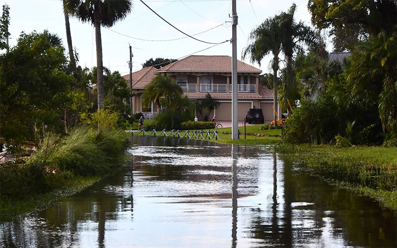 Flood effects photo