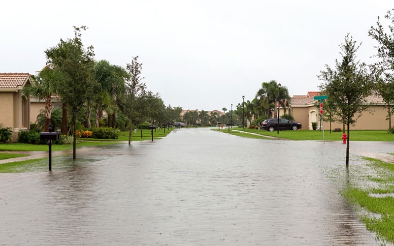 Flooded landscape photo