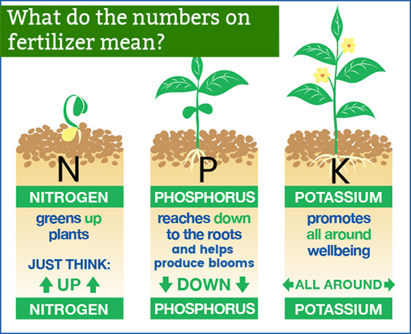 Fertilizer Label photo