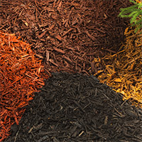 Mulching The Landscape photo